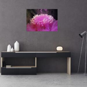 Obraz květiny v růžovém dýmu (70x50 cm)