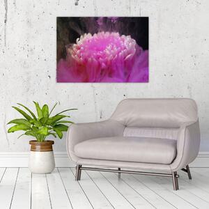 Obraz květiny v růžovém dýmu (70x50 cm)