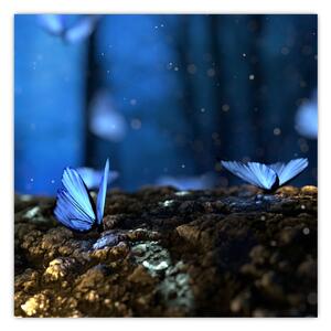Obraz modrých motýlů (30x30 cm)