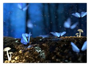 Obraz modrých motýlů (70x50 cm)