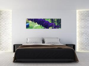 Obraz modré květiny (170x50 cm)