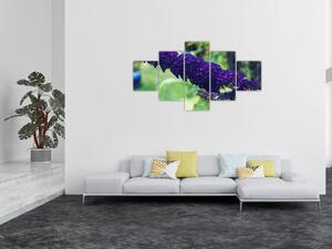 Obraz modré květiny (125x70 cm)