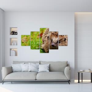 Obraz ježka (125x70 cm)