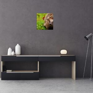 Obraz ježka (30x30 cm)