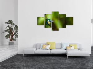 Obraz páva (125x70 cm)
