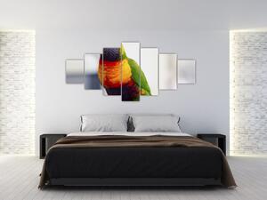 Obraz papouška (210x100 cm)