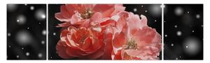 Obraz růžové květiny (170x50 cm)