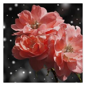 Obraz růžové květiny (30x30 cm)