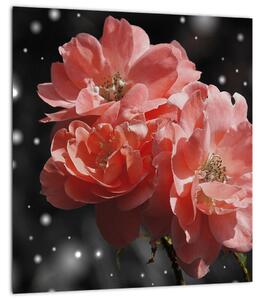 Obraz růžové květiny (30x30 cm)