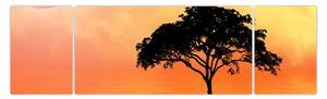 Obraz stromu v západu slunce (170x50 cm)