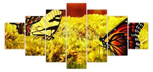 Obraz motýlů (210x100 cm)