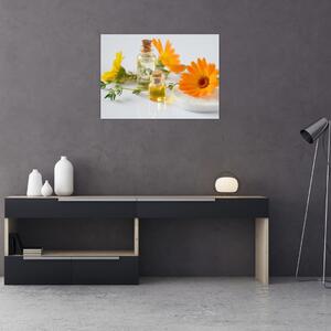Obraz oranžových květin (70x50 cm)