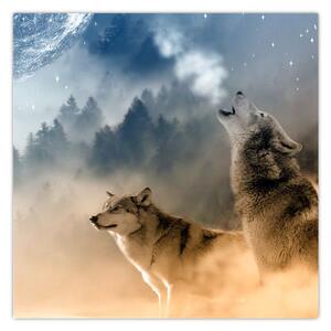 Obraz - vlci vyjící na měsíc (30x30 cm)