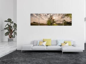 Obraz přírody s paprsky (170x50 cm)