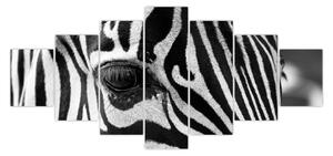 Obraz zebry (210x100 cm)
