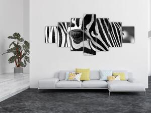 Obraz zebry (210x100 cm)