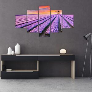 Obraz - květinová farma (125x70 cm)