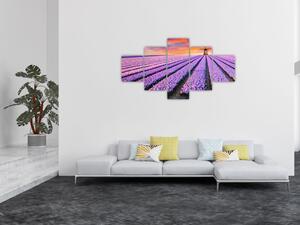 Obraz - květinová farma (125x70 cm)