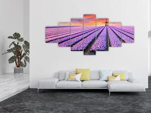 Obraz - květinová farma (210x100 cm)
