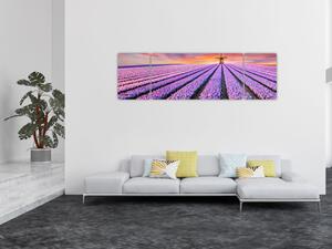 Obraz - květinová farma (170x50 cm)