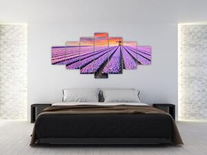 Obraz - květinová farma (210x100 cm)