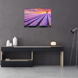 Obraz - květinová farma (70x50 cm)