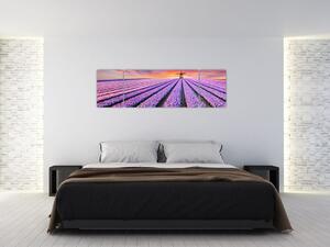 Obraz - květinová farma (170x50 cm)