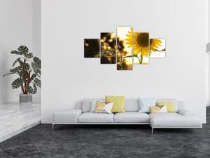 Obraz slunečnice (125x70 cm)