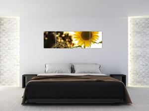Obraz slunečnice (170x50 cm)