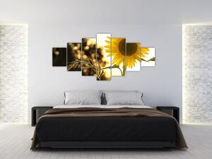 Obraz slunečnice (210x100 cm)