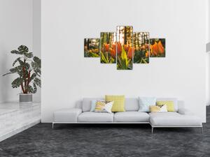 Obraz - oranžové tulipány (125x70 cm)