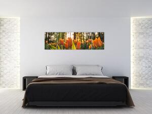 Obraz - oranžové tulipány (170x50 cm)