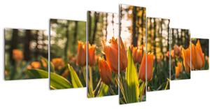 Obraz - oranžové tulipány (210x100 cm)