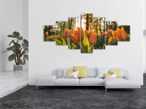 Obraz - oranžové tulipány (210x100 cm)