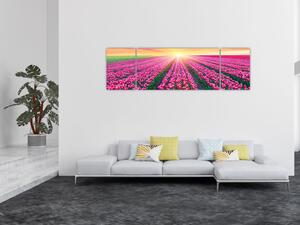 Obraz pole tulipánů se sluncem (170x50 cm)