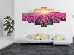 Obraz pole tulipánů se sluncem (210x100 cm)