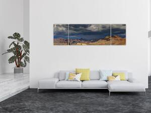 Obraz - kaktusy v přírodě (170x50 cm)