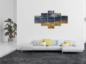 Obraz - kaktusy v přírodě (125x70 cm)