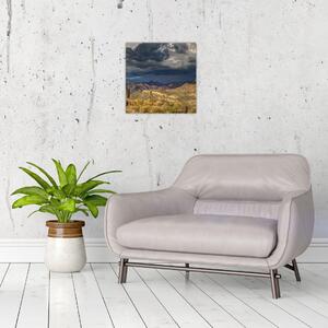 Obraz - kaktusy v přírodě (30x30 cm)