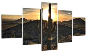 Obraz - kaktusy ve slunci (125x70 cm)