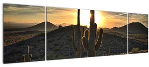 Obraz - kaktusy ve slunci (170x50 cm)