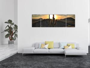 Obraz - kaktusy ve slunci (170x50 cm)
