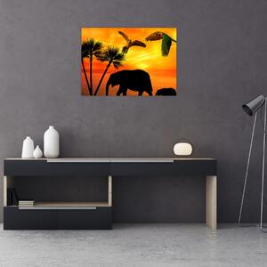 Obraz - papoušci a sloni (70x50 cm)