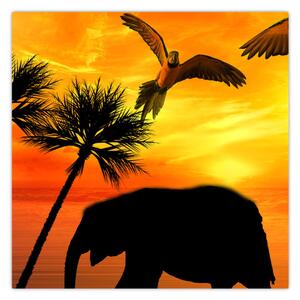 Obraz - papoušci a sloni (30x30 cm)