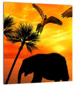 Obraz - papoušci a sloni (30x30 cm)