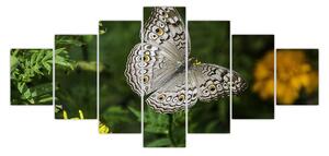 Obraz - bílý motýl (210x100 cm)