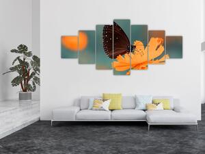 Obraz - motýl na oranžové květině (210x100 cm)