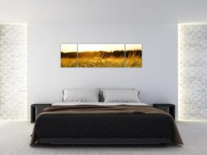 Obraz orosené trávy (170x50 cm)