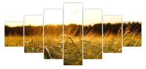 Obraz orosené trávy (210x100 cm)