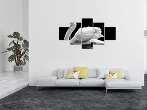 Obraz černobílé labutě (125x70 cm)